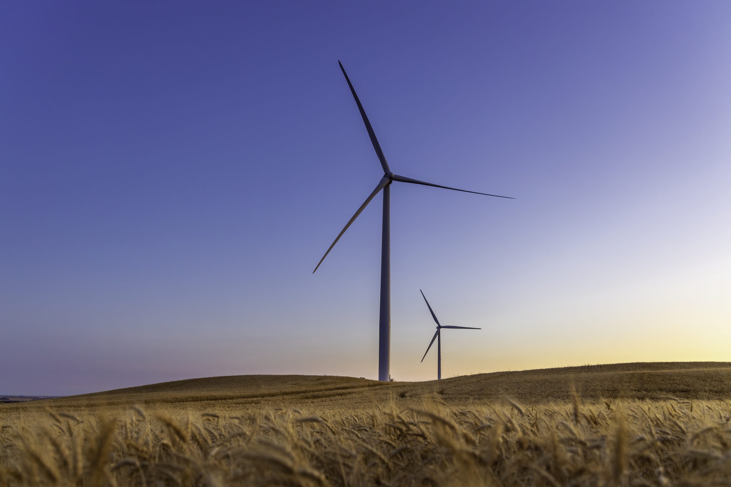 Two wind turbines rotate around generating energy in the middle of a wheat field.  Wind farms, are becoming an increasingly important source of intermittent renewable energy and are used by many countries as part of a strategy to reduce their reliance on fossil fuels.