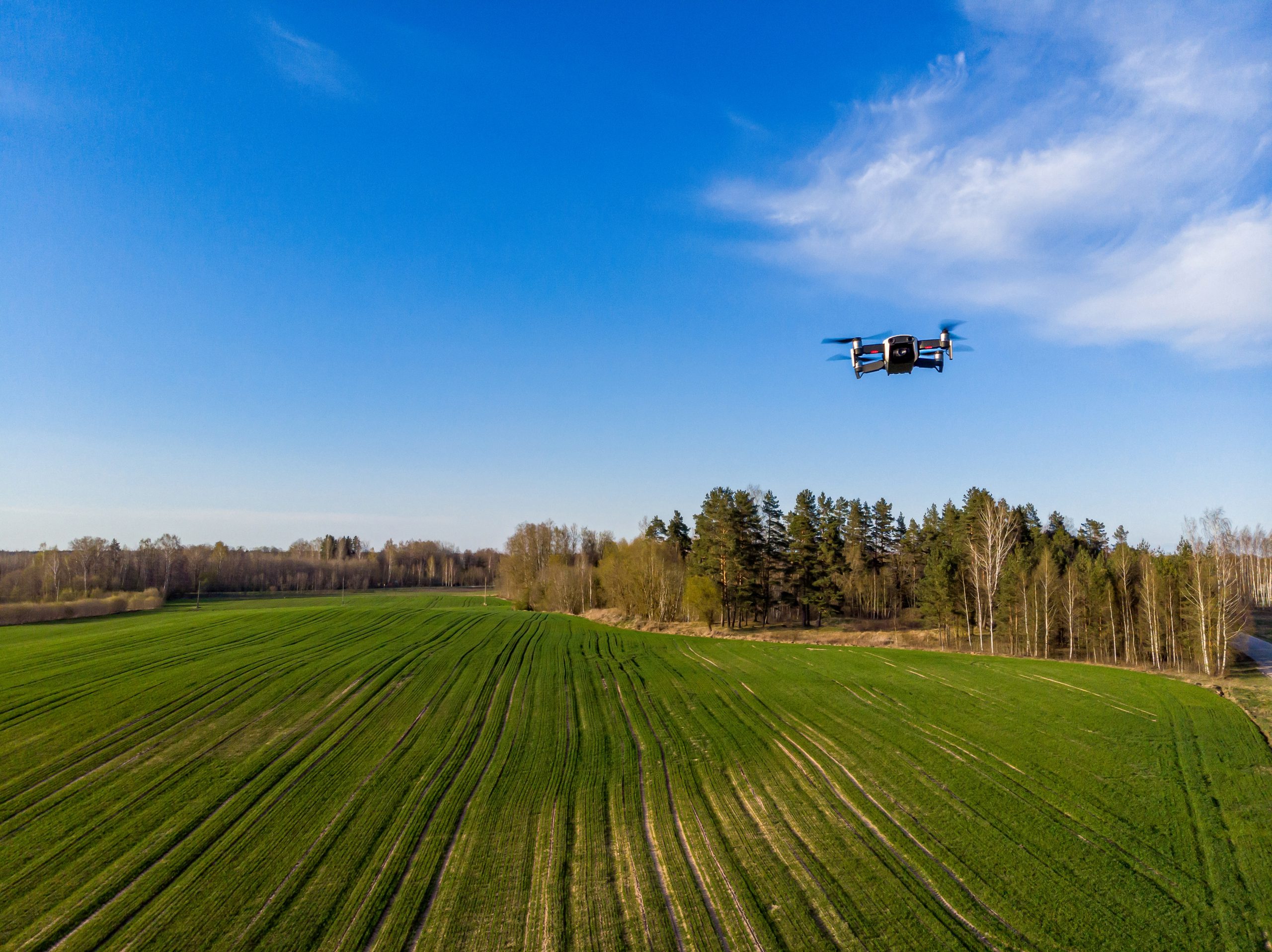 drone inspecting green agricultural fields in spring with fresh vegetation, aerial view, agriculture technology concept